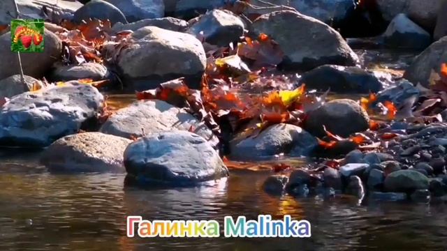 Лена Хэппи /USA HAPPY EVERY Day /Не ты - имеешь машину, а машина имеет тебя /Обзор Влогов / смотреть онлайн