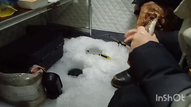 ловля сороги конец марта 2023 река Алдан Якутия смотреть онлайн