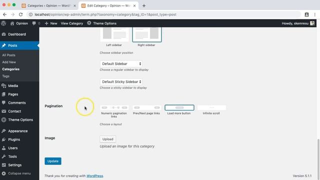 Category display options - Opinion WordPress Theme смотреть онлайн