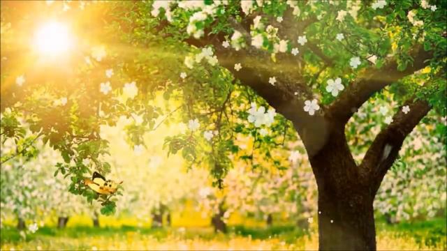 "КАК ПРЕКРАСНО ЖИТЬ" - АВТОРСКАЯ ПЕСНЯ ПОЭТА ГАЛИНЫ КАРПЮК - САНКТ - ПЕТЕРБУРГ смотреть онлайн