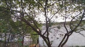 Полив для огорода Своими руками