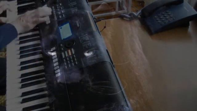 Strangers by night (cover) Strangers by night,C. C. Catch смотреть онлайн