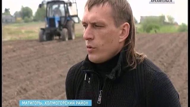В регионе раньше обычного начали сеять картофель смотреть онлайн