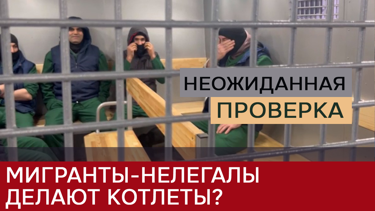 Мигранты и котлеты. Силовики наткнулись на нелегалов-«великороссов» смотреть онлайн
