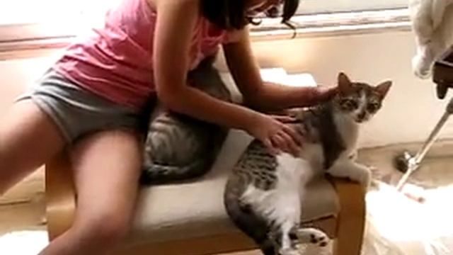 05-30-2012 Аня гладит котов