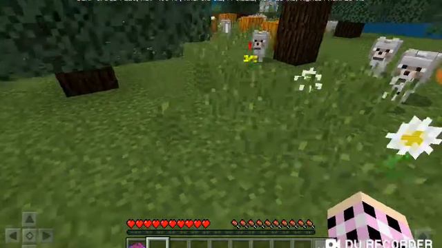 Прохождение карты в майнкрафте ! Найди Кнопку.Животные смотреть онлайн