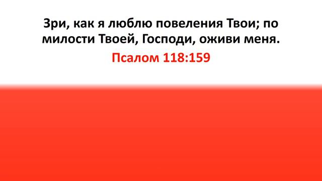 Библия для детей, Ветхий Завет. Псалом 118:159 смотреть онлайн