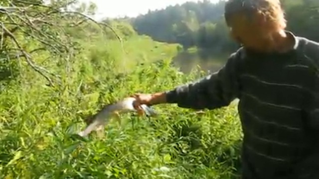 Весёлая рыбалка.часть 1. смотреть онлайн