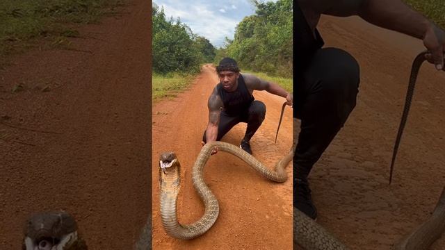 2022-11-14 смотреть онлайн