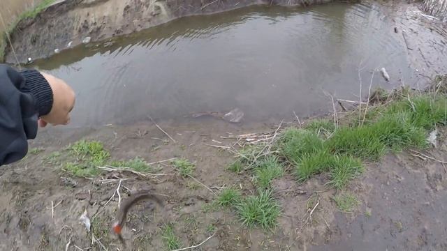 Трофейная щука................... пока не берёт смотреть онлайн