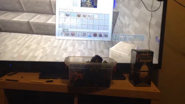 Undertale map build смотреть онлайн