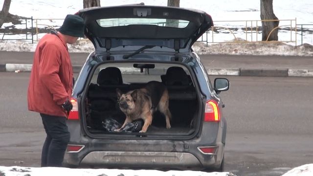 Ангела- Соли охрана машины смотреть онлайн