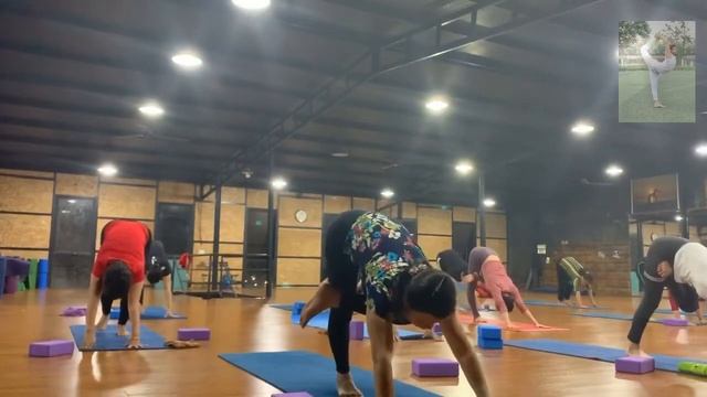 Balance Yoga Flow With Master Mohit | Vietnam | смотреть онлайн