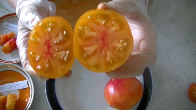Дегустация № 12. Экзотические томаты. смотреть онлайн
