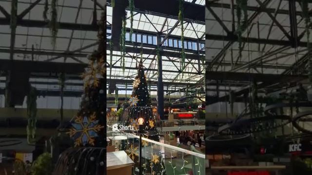 Румыния, Бухарест, торговый центр, новый год, Рождество, новогодняя ёлка