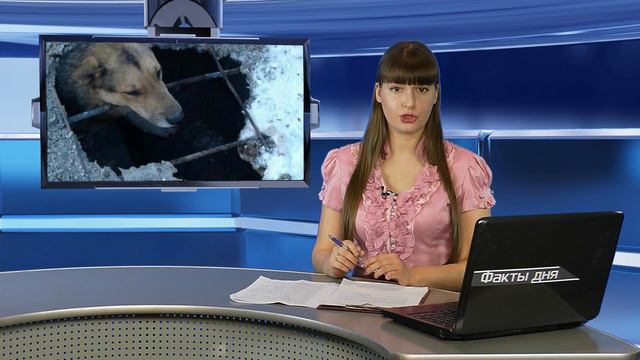 Сотрудники МЧС спасли застрявших под теплотрассой собаку и щенка смотреть онлайн