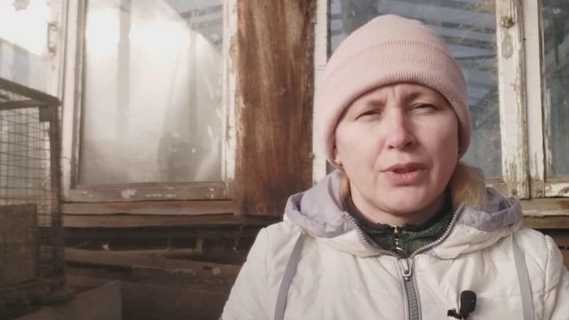 понос у крольчат. не начала во время лечить, результат все погибли от оббезвоживания. смотреть онлайн