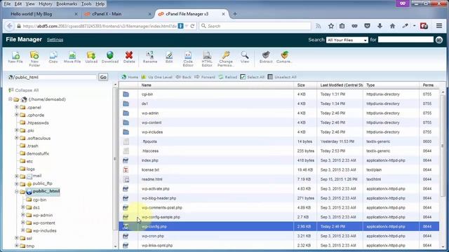 Video 04 - Secure WP-Config.php смотреть онлайн