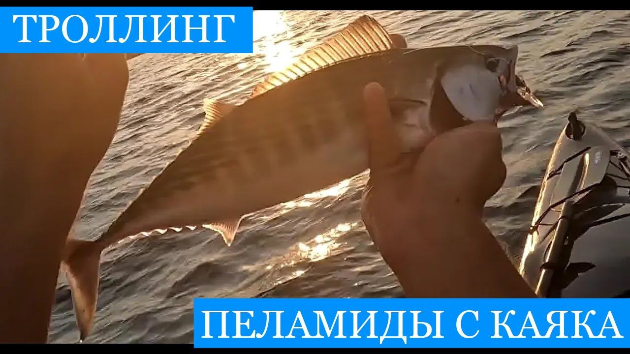 Ловля ПЕЛАМИДЫ с каяка в ТРОЛЛИНГ! смотреть онлайн