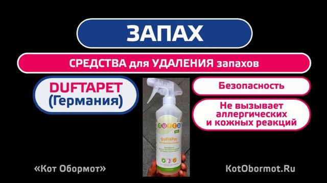13 советов по уборке квартиры, в которой живет кошка смотреть онлайн