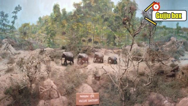 Panorama photoshoot | Vadodara museum and picture gallery | Sayaji baug | Vadodara trip | Tourist смотреть онлайн