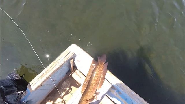 Рыбалка и подводная охота на секретном озере смотреть онлайн