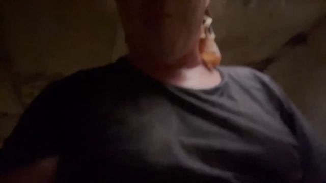 ДАВНО так не уставал в доме на Юге // от пота шлепки скользкие смотреть онлайн