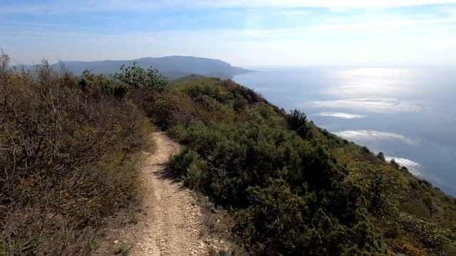 Поход по лысой горе Часть 2 смотреть онлайн