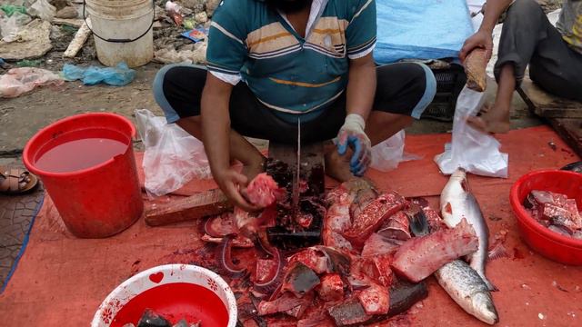 Monster Bighead Fish Cutting Live In Asian Fish Market | Fish Cutting Skills смотреть онлайн