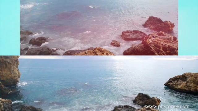 Проморолик Aqua Hit