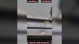 Замена стеклопакетов в деревянных окнах