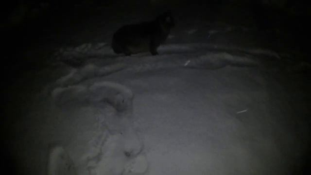 Нудить лучше чем нужда смотреть онлайн