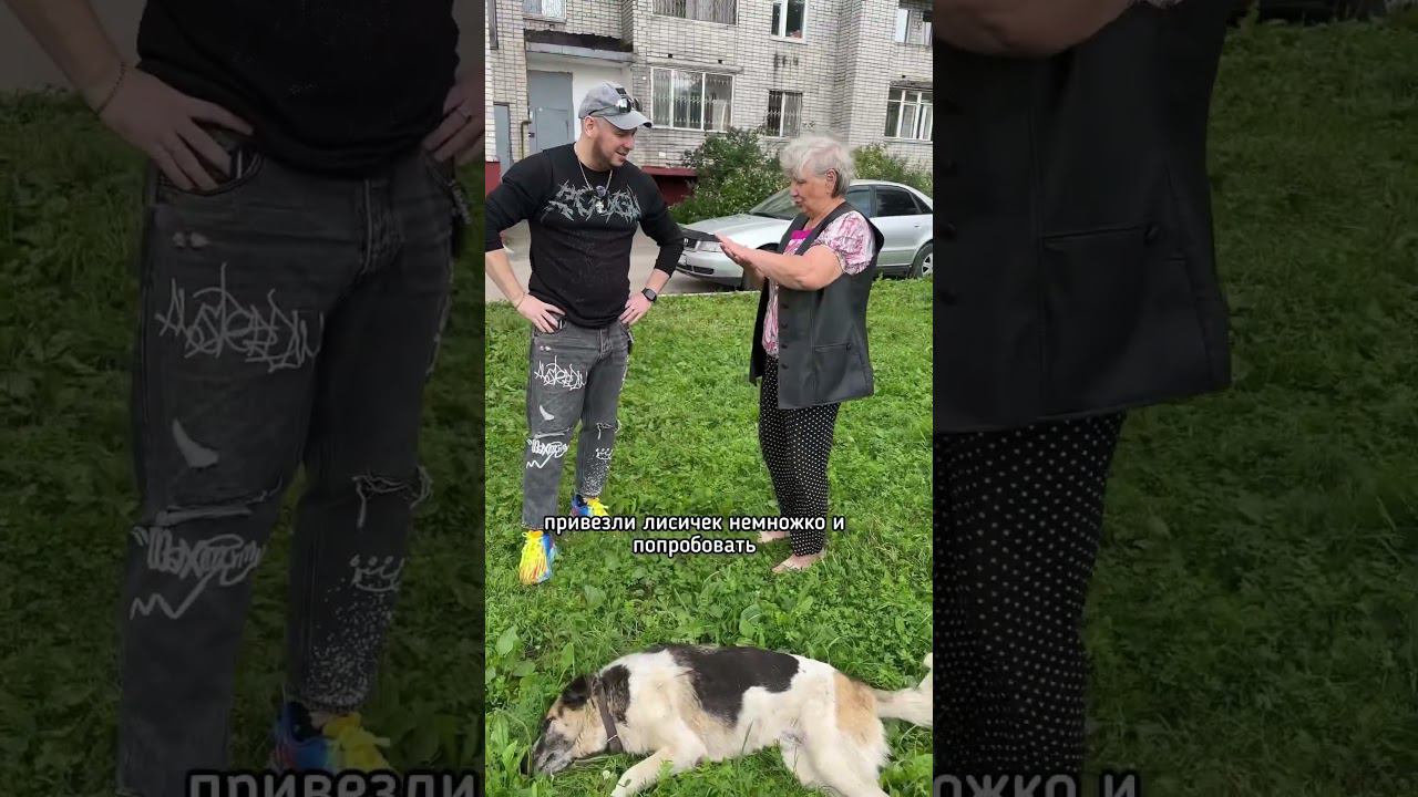 Поддержка рядом | рецепт от бабушки | добрые поступки. 31-ое июля