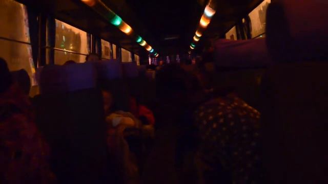 Новогодняя экскурсия. Поём "В лесу родилась ёлочка". смотреть онлайн