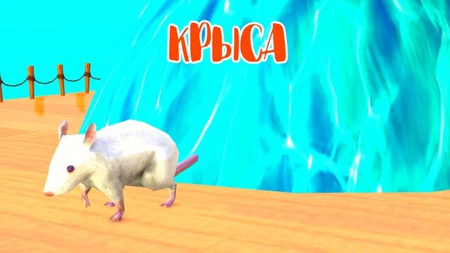 Цветные Животные меняют цвет в Воде - Мультик для Детей - Учим Цвета смотреть онлайн