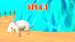 Цветные Животные меняют цвет в Воде - Мультик для Детей - Учим Цвета