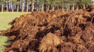 Лучший навоз как удобрение конский коровий свиной жидкий куриный свежий кроличий