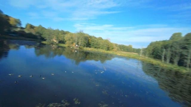 Тресковщина. Руины водяной мельницы #fpvdrone