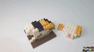 PETIT BLOCK | Friends of Dogs and Cats #3 CALICO CAT | Stop motion speed build review