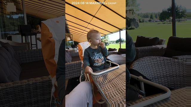 2024 08 14 3 MAXIMUS и САХАР 4К