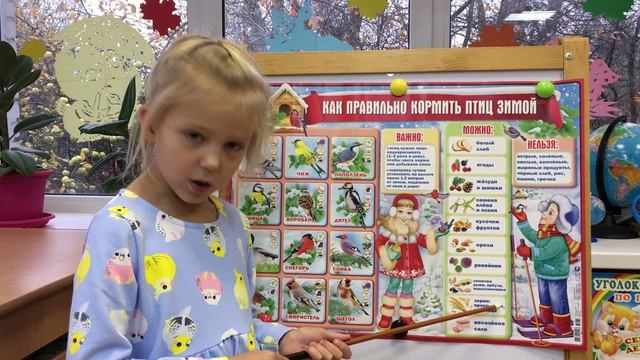 ДДП.Кормушки.mp4