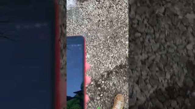 ОДИН ДЕНЬ из жизни курьера DELIVERY CLUB // VLOG смотреть онлайн