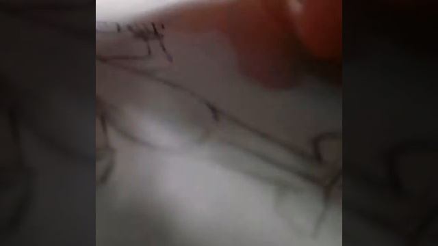 Рисуем Бенди и чернильная машина 😇легкие рисунки 😇 смотреть онлайн