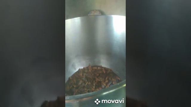 Моя плантация 28 июля 2022 г. смотреть онлайн