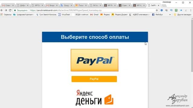Скрипт приёма платежей на сайте за цифровые товары Sell File Easy смотреть онлайн