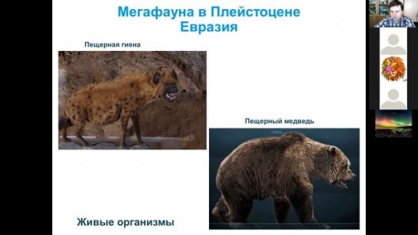 Мегафауна плейстоцена