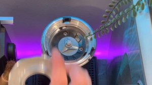 How to Easily Clean your DF64V | disassemble and reassemble