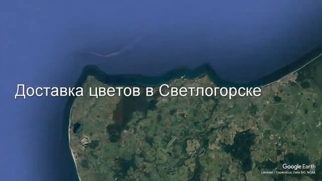 Доставка цветов в Светлогорске - Заказ букетов от компании Скорая подарочная помощь смотреть онлайн