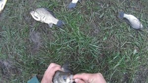 КАК НАДО ЛОВИТЬ РЫБУ