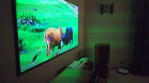 XGIMI M1 + ALR экран  в режиме обычного просмотра 2